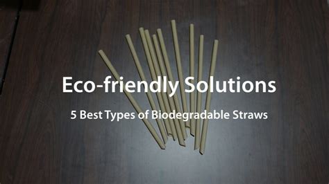 Best Types Of Biodegradable Straws Are Eco Friendly Solutions Renouvo