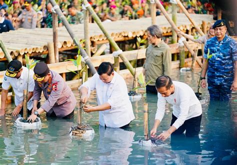 Presiden Jokowi Hutan Mangrove Kembalikan Habitat Alam Hewan Dan