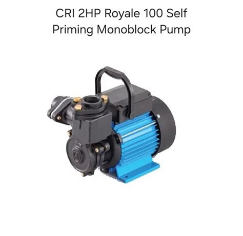 Cri Hp Royale Self Priming Monoblock Pump At Piece