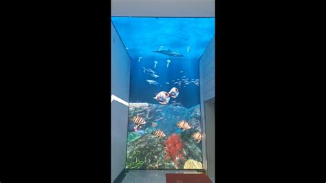 Digital Exhibition Hall Immersive Pavilion Naked Eye 3D Underwater