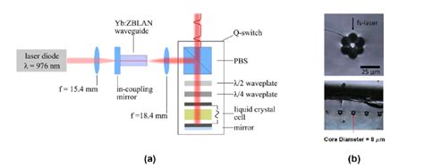 A Schematic Of The Laser Setup In This Setup The Pump Light Is