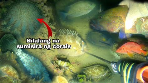 Night Spearfishing Episode 54 Nasa Pangatlong Spot Pala Ang Biyaya