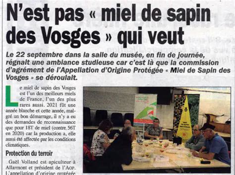 Actualit S Sur L Aop Miel De Sapin Des Vosges Miels Et Saveurs