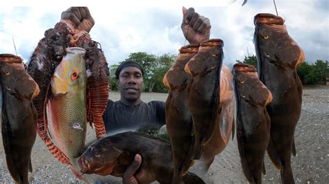 This Fish Travel All The Way From Bahamas To Jamaica And This Happen