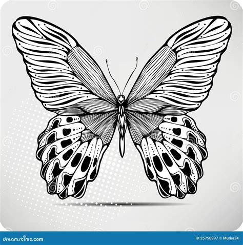 Butterfly Hand Drawing Vector Illustration Stock Vector