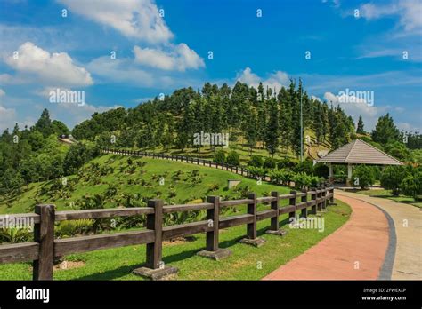 Taman hijau hi-res stock photography and images - Alamy