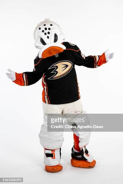 588 Anaheim Ducks Mascot Stock Photos, High-Res Pictures, and Images ...