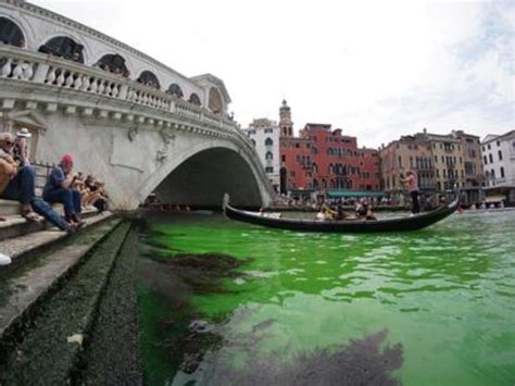 Venezia Lacqua Dei Canali Diventa Verde Il Prefetto Liquido