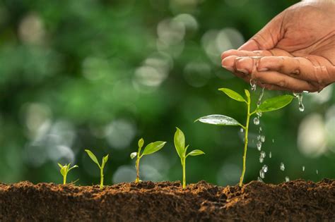 Not Sure How to Grow Your Team? Focus on These 3 Things. 