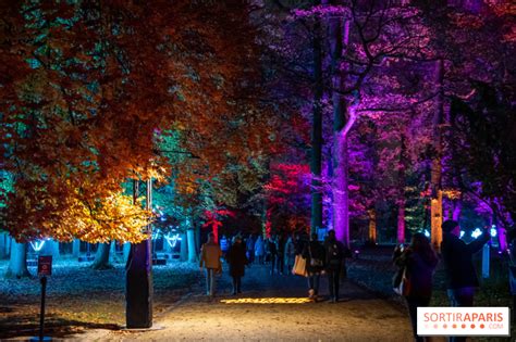 Illuminations De Noël 2022 Les Sentiers Lumineux De Noël Au Parc