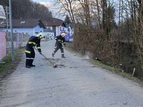 Sturmsch Den In Wilhelmsburg Mehrere Umgest Rzte B Ume Auf Den Stra En