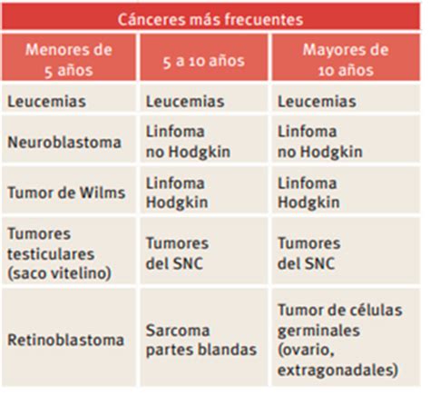 D A Internacional Del C Ncer Infantil