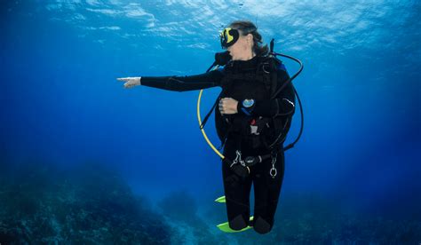 Scuba Diving In South America The Ultimate Guide