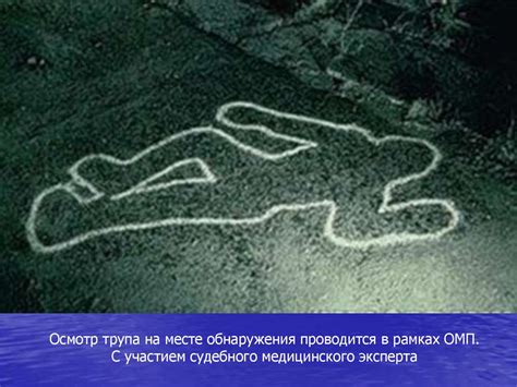 Тактика следственного осмотра и освидетельствования. Тема №2 ...