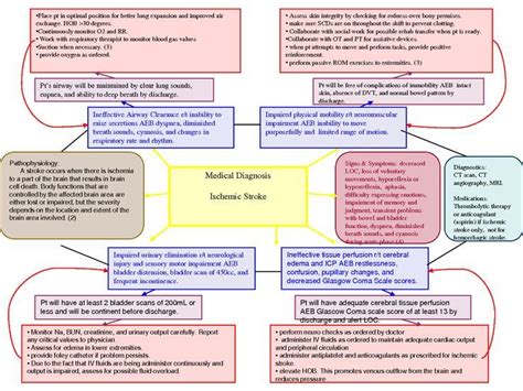 26 best nursing concept maps images on Pinterest | Nursing schools ...