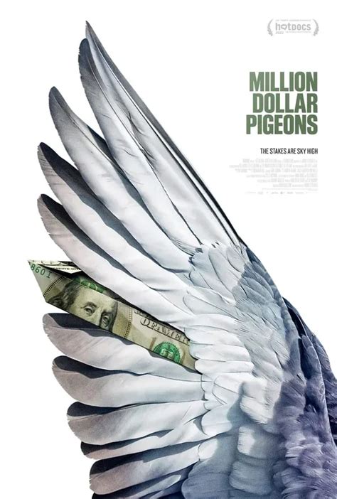 Million Dollar Pigeons Pictures Rotten Tomatoes