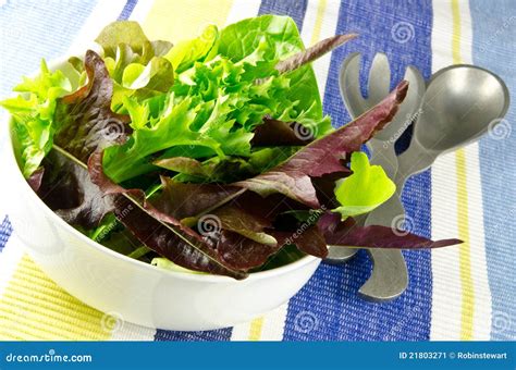 Mixed Salad Leaves Stock Image Image Of Menu Nutrition 21803271