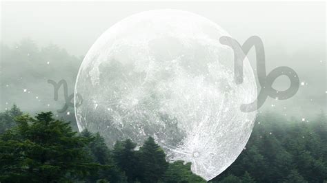 Full Moon In Capricorn Will Affect Every Zodiac Sign 2023 StyleCaster