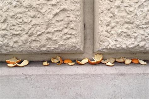 A View of One’s Own—Three Women Photographers in Rome: Esther Boise Van ...