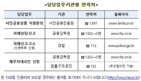 금감원 불법 사채업자·광고 59개사 적발