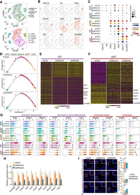 Panoramic Transcriptome Analysis And Functional Screening Of Long