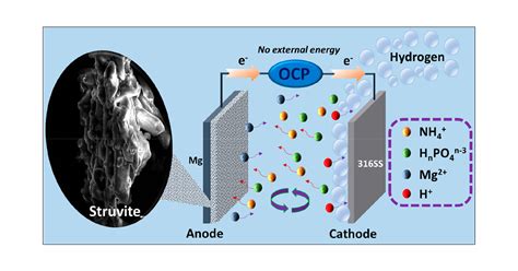 Struvite Structure