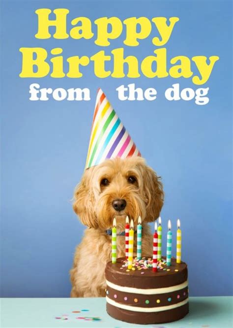 Funny Happy Birthday From The Dog Card Moonpig