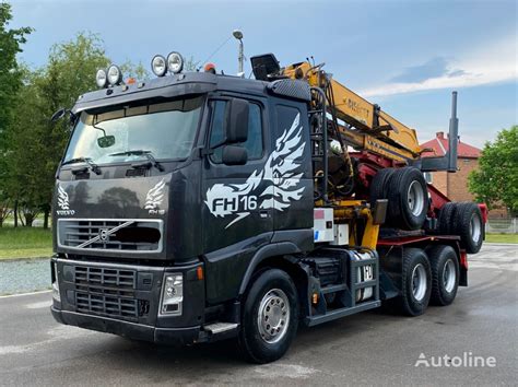 Ciężarówka do przewozu drewna Volvo FH16 660 na sprzedaż Polska Kotowa