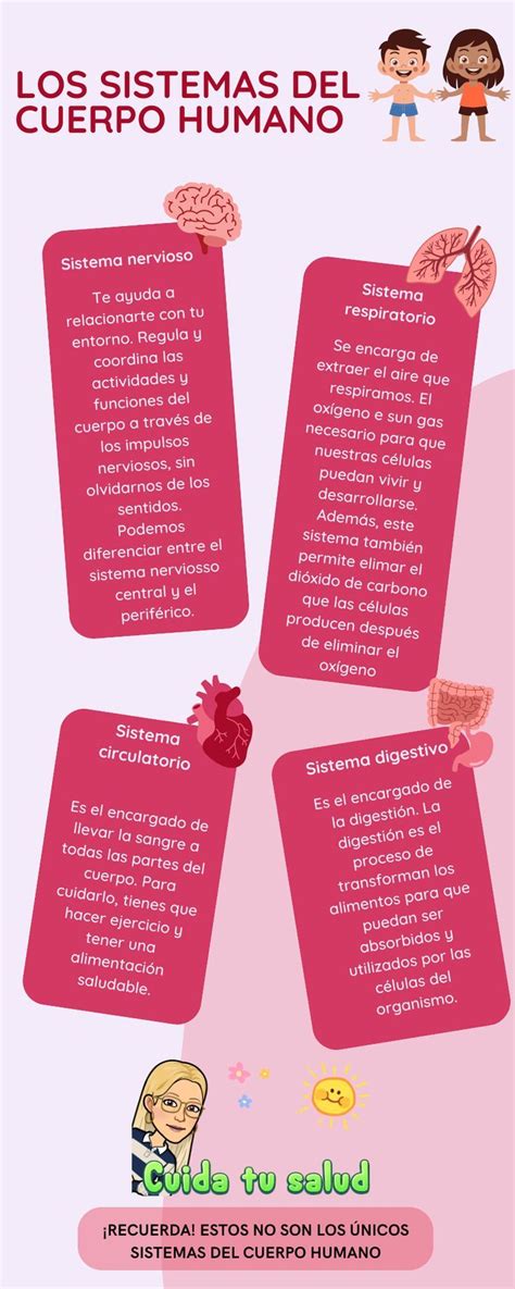 InfografÍa Los Sistemas Del Cuerpo Humano Sistemas Del Cuerpo Humano Sistemas Del Cuerpo