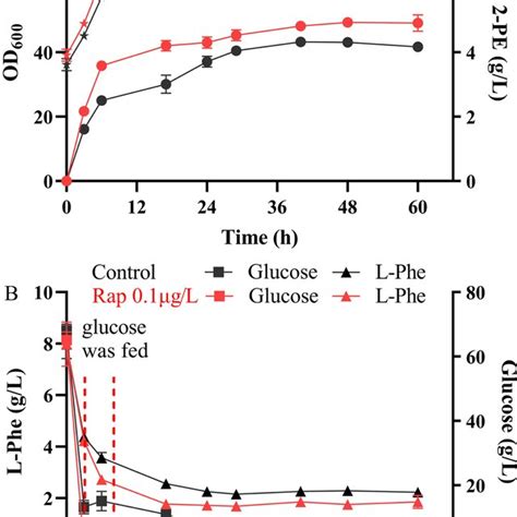 Pe Production By Whole Cell Bioconversion Using S Cerevisiae