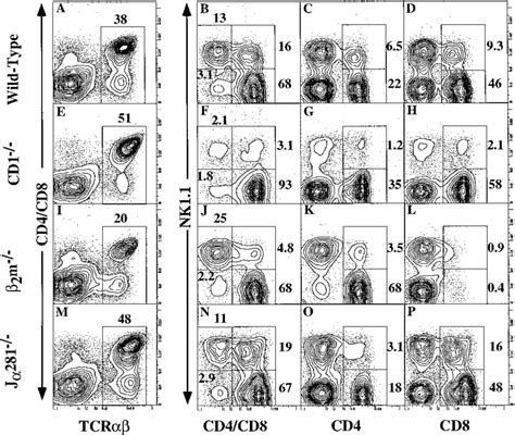 Two Color Flow Cytometric Analysis Of Nk11 Tcr T Cell Subsets In The