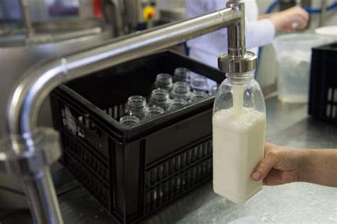 Why Do They Drink Milk At Indy 500 Indy 500 Milk Tradition Explained