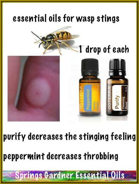 8 Best wasp sting remedies ideas | wasp stings, wasp sting remedy, sting