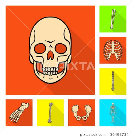 Vector Design Of Bone And Skeleton Icon Stock Illustration