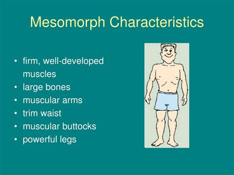 Ppt Body Composition Powerpoint Presentation Free Download Id 7073162