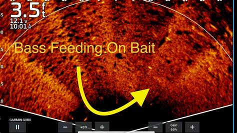 Garmin Livescope Perspective Mode What Are We Seeing Youtube