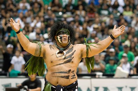 The Complete Guide To The University Of Hawaii'S Mascot - Hawaii Star