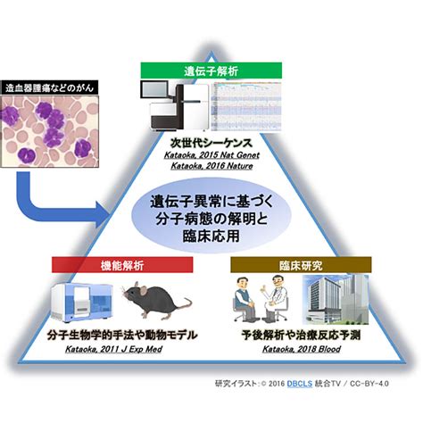 遺伝子解析、機能解析、臨床研究の3本柱で悪性腫瘍における遺伝子異常の全体像の解明へ（後編） Hematopaseo