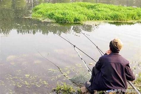 四季釣魚的最佳出釣時機，值得收藏！ 每日頭條