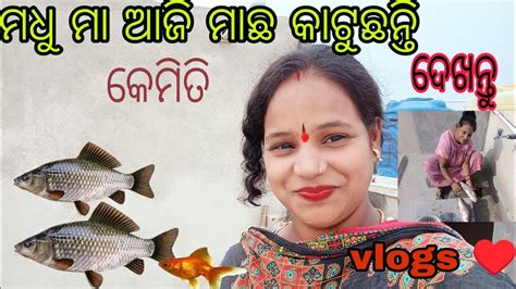 ମଧୁ ମା ♥️ Odia Vlogs ଆଜି ମାଛ ଆସିଛି ଦେଖନ୍ତୁ କେମିତି କଟା ହହୁଛି ♥️ New