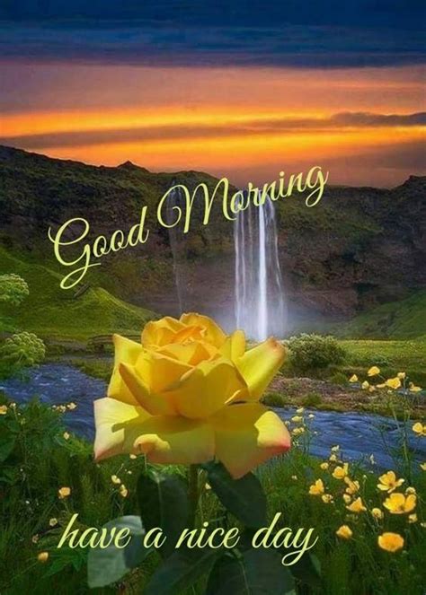 37 Good Morning Greetings Pictures And Wishes With Beautiful Images