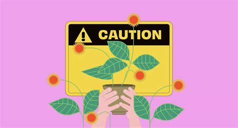 The Facts About Kratom Withdrawal What To Expect And How To Deal With It