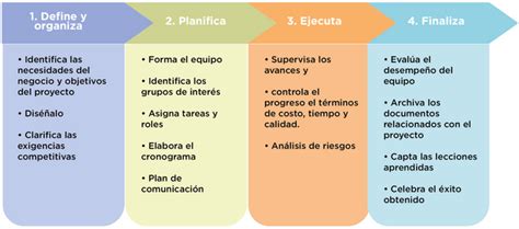 Proceso De Administración De Proyectos Desarrollo Organizacional