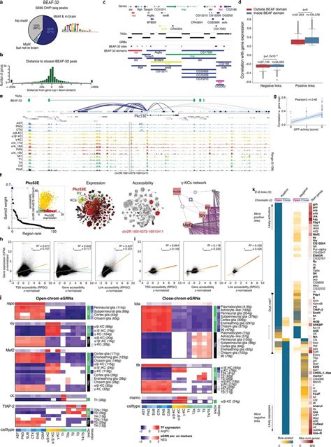 Gene Expression And Region Accessibility Correlation Can Be Exploited