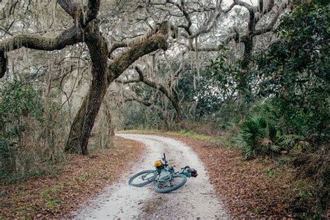 Eastern Divide Trail (S7): Longleaf