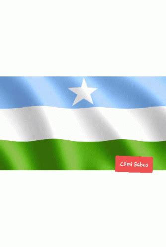 Flag Day Puntland GIF - Flag Day Puntland - Discover & Share GIFs