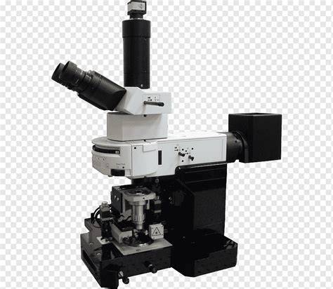 tragedia destacar promesa imagenes de microscopio de barrido auditoría Torbellino captura