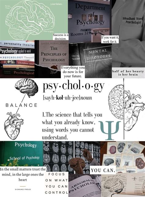 Psychology Aesthetic Psychologie Studium Psychologie Schulmotivation