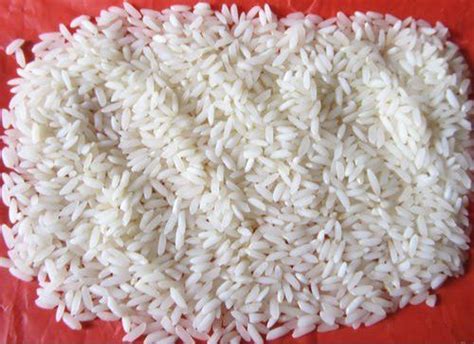 Common White Sona Masoori Rice At Best Price In Moga Goyal Agro Foods