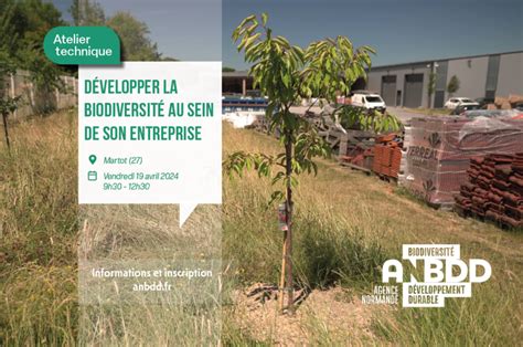 Atelier technique Développer la biodiversité au sein de son